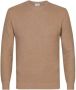 Profuomo Pullover beige pptj1a0031 Bruin Heren - Thumbnail 2