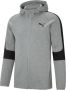 Puma Capuchon met volledige rits Evostripe Core Grijs Heren - Thumbnail 2