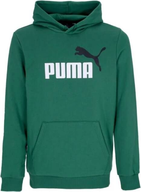 Puma Grote Logo Hoodie in Vine Kleur Green Heren