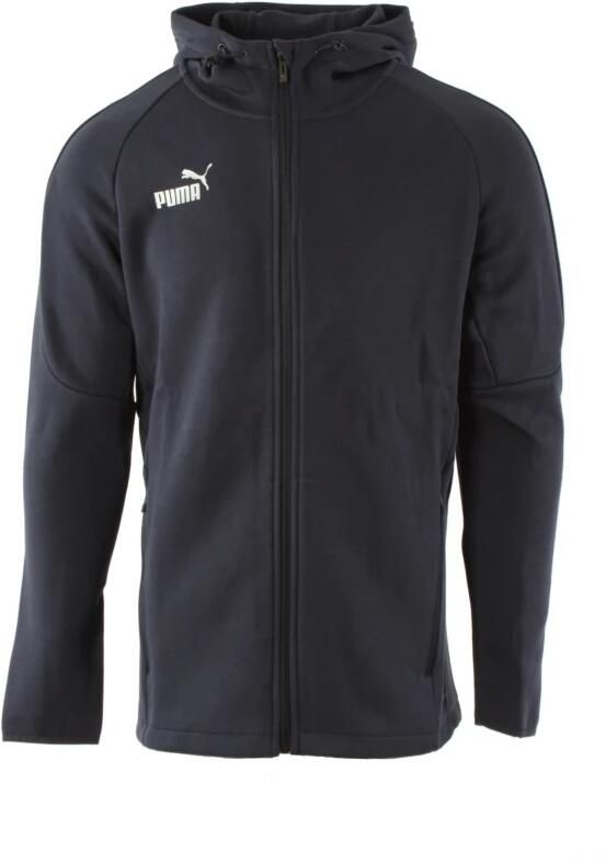Puma Teamfinal Zip-Through Hoodie Blauw Heren