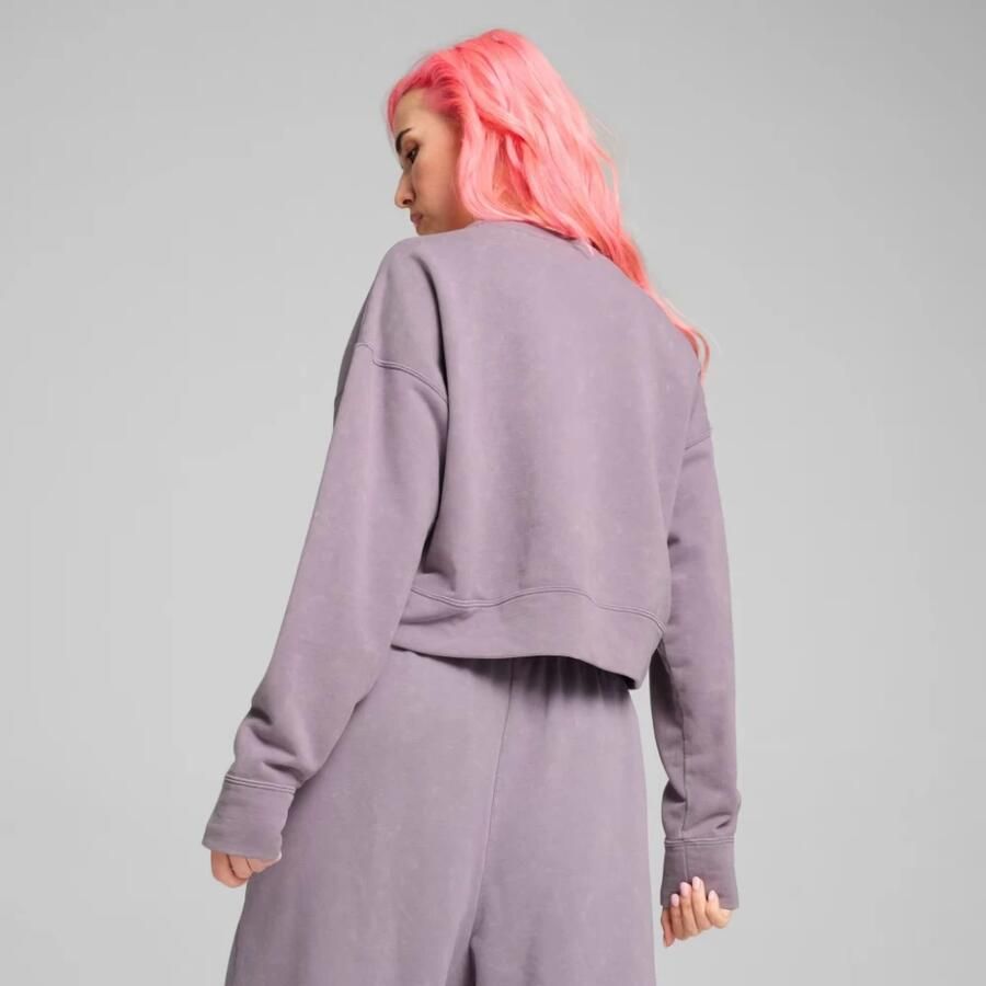 Puma Relaxed Gewassen Sweatshirts Purple Dames