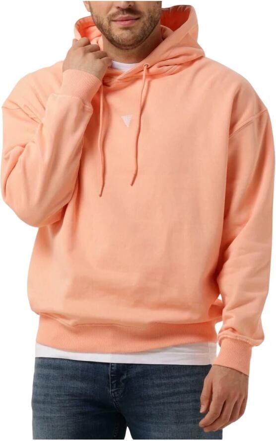 PURE PATH Heren Truien & Vesten Hoodie With Back Print And Small Frontprint Koraal - Foto 3