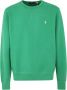 Polo Ralph Lauren Groene Sweatshirt Regular Fit Koud Weer 60% Katoen 40% Polyester Green Heren - Thumbnail 1