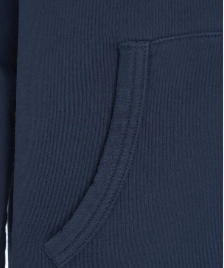 Polo Ralph Lauren Blauwe Katoenen Trui met Pony Borduursel Blue Heren