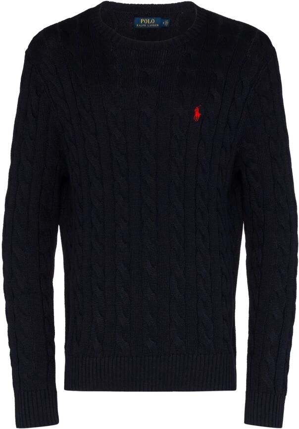 Polo Ralph Lauren Hunteravy Katoenen Trui met Geborduurd Pony Black Heren