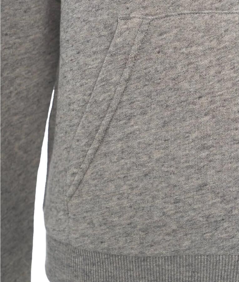 Polo Ralph Lauren Grijze Geborduurde Hoodie Sweatshirt Gray Dames - Foto 2