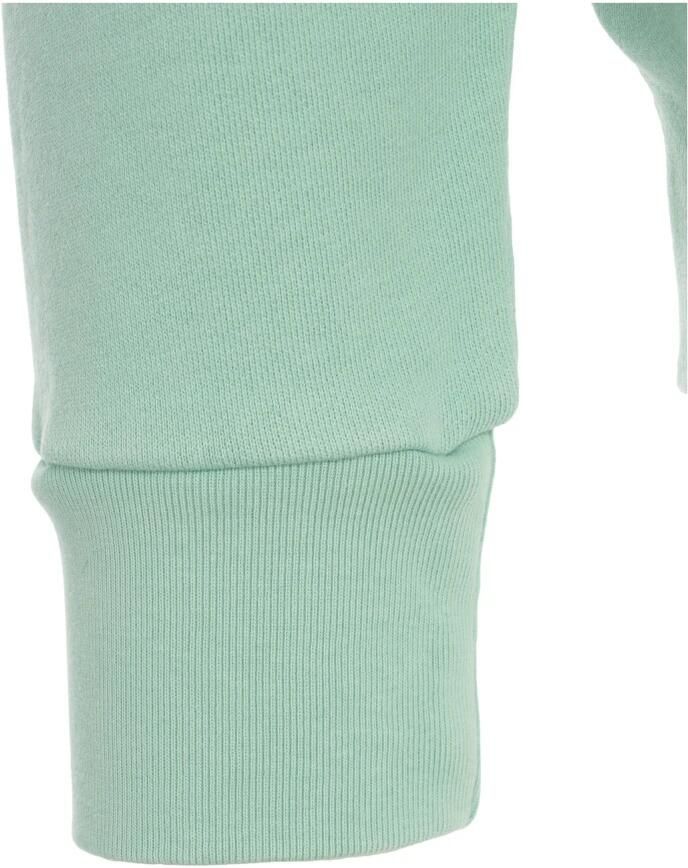 Polo Ralph Lauren Turquoise Geborduurde Hoodie Casual Stijl Green Heren - Foto 2