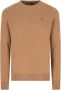Polo Ralph Lauren Bruine Sweaters LS CN Pp-Lange Mouwen-Pullover Bruin Heren - Thumbnail 2