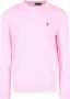 Polo Ralph Lauren Gebreide Trui met Contrasterend Borduursel Pink Heren - Thumbnail 3