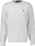 Polo Ralph Lauren Sweater SWEAT COL ROND MOLTONE EN COTON LOGO PONY PLAYER - Thumbnail 3