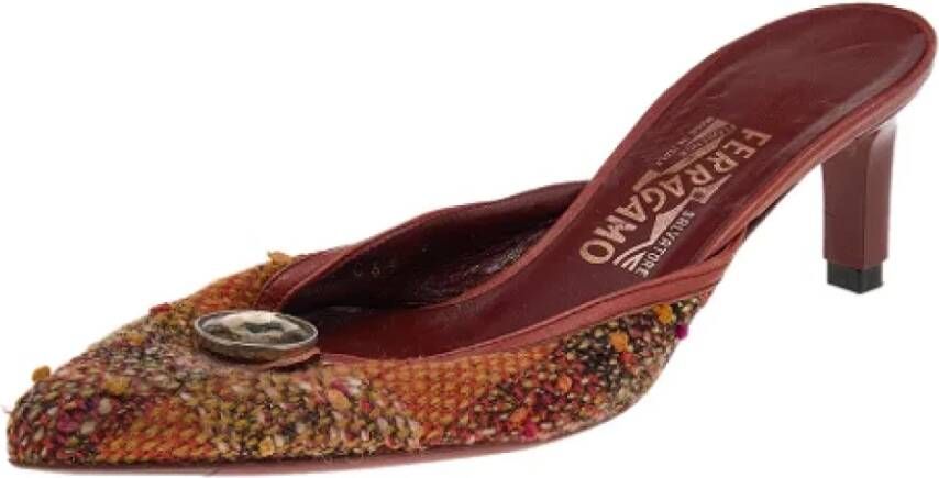 Salvatore Ferragamo Pre-owned Pumps Meerkleurig Dames