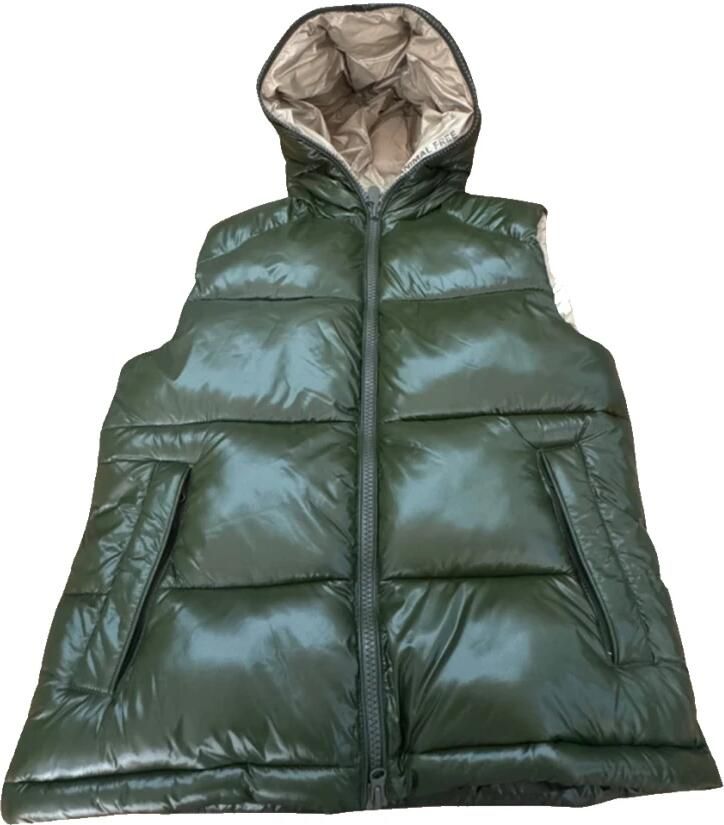 Save The Duck Gewatteerde Puffer Vest voor Mannen Green Heren