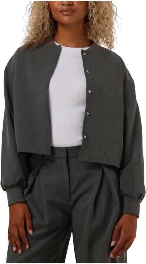 SELECTED FEMME Dames Jassen Slfblake Bomber Grijs - Foto 3