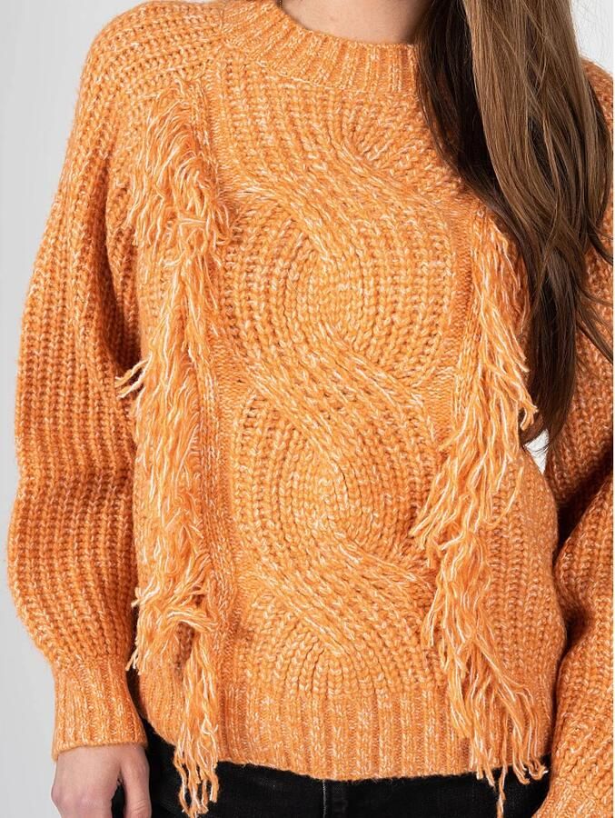 Silvian Heach Gebreide kleding met ronde hals en decoratieve vlechtstof Orange Dames