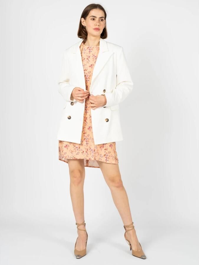 Silvian Heach Dubbelrijige Blazer in Lancia Dubbelrijige Blazer voor Dames Dubbelrijige Blazer Jas Blue White Black Dames - Foto 3