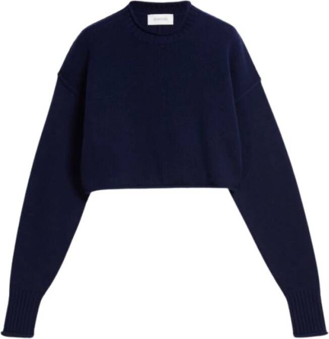 SPORTMAX Sweatshirt Blauw Dames