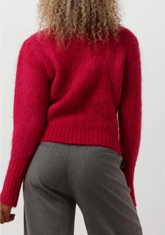 Suncoo Fuchsia Gebreide Trui Pigrino Pink Dames - Foto 2