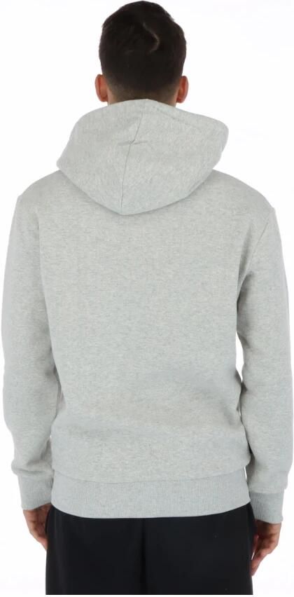 Superdry Bergprint hoodie voor mannen Gray Heren
