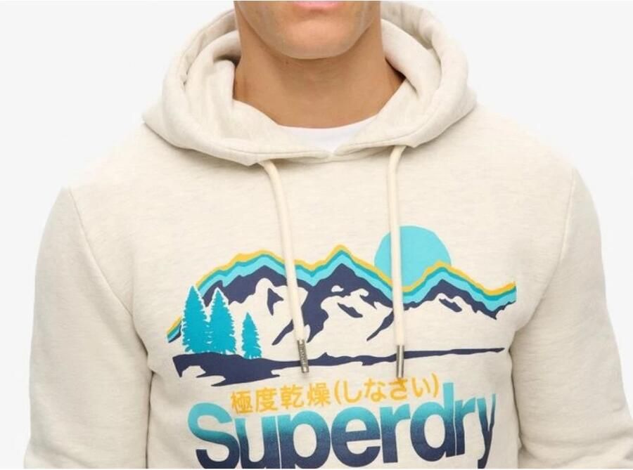 Superdry Grafische hoodies Regular Fit Grote zak Beige Heren - Foto 4