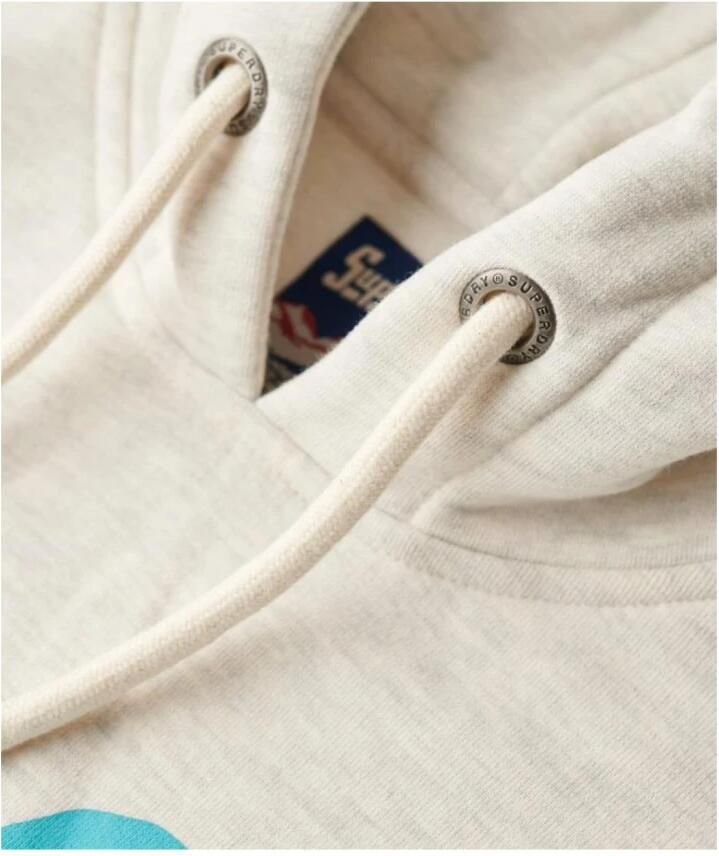 Superdry Grafische hoodies Regular Fit Grote zak Beige Heren