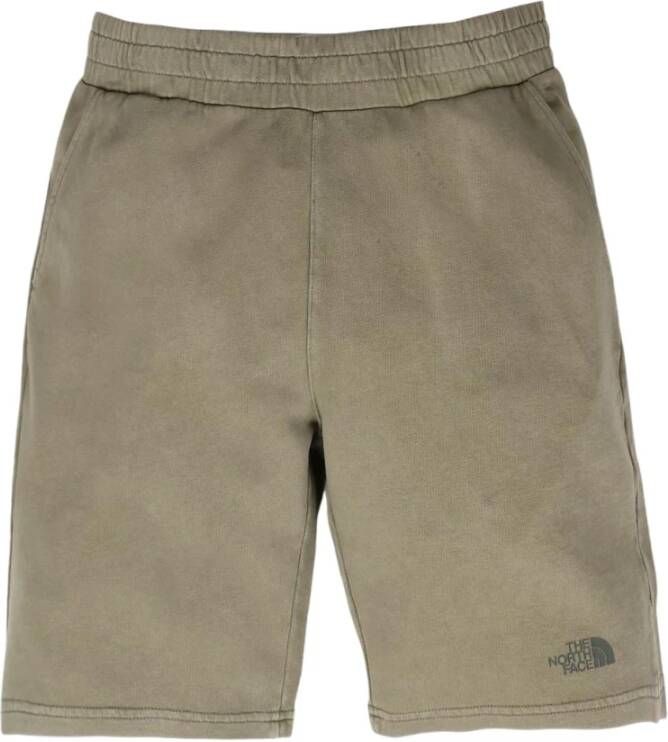 The North Face Casual Shorts Groen Heren