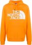 The North Face Deoordwand sweaters Oranje Heren - Thumbnail 1