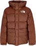 The North Face Alpine Hoodie Blijf warm en stijlvol Brown Heren - Thumbnail 1