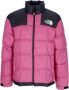 The North Face Korte shorts voor streetwear-liefhebbers Pink Heren - Thumbnail 1