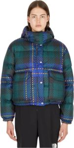The North Face Halfdome Plaid Puffer Jacket Blauw Dames