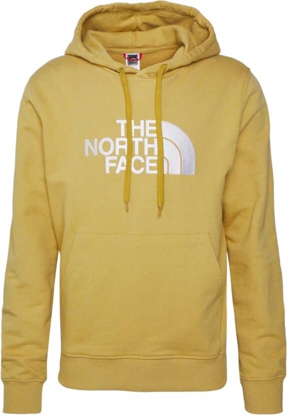 The North Face Lichtgewicht hoodie met kangoeroezak Green Heren