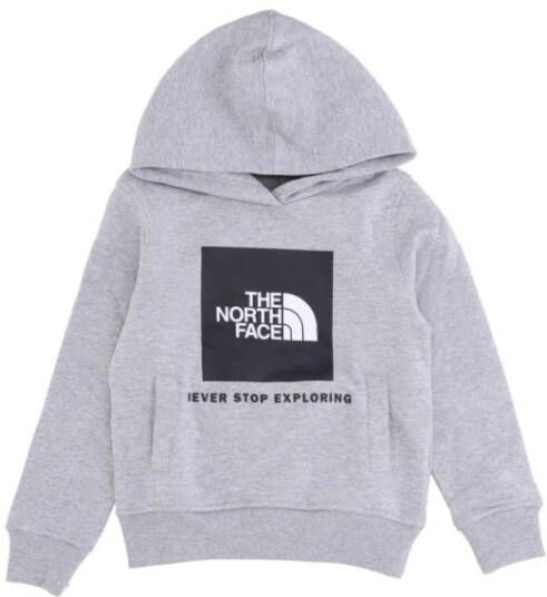 The North Face Hoodies Grijs Dames