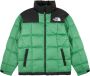 The North Face Lhotse Jas Technische Fabricage Hoge Kraag Logo Print Green Heren - Thumbnail 1