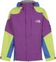 The North Face Carduelis Jas Paars Geel Blauw Multicolor Heren - Thumbnail 4