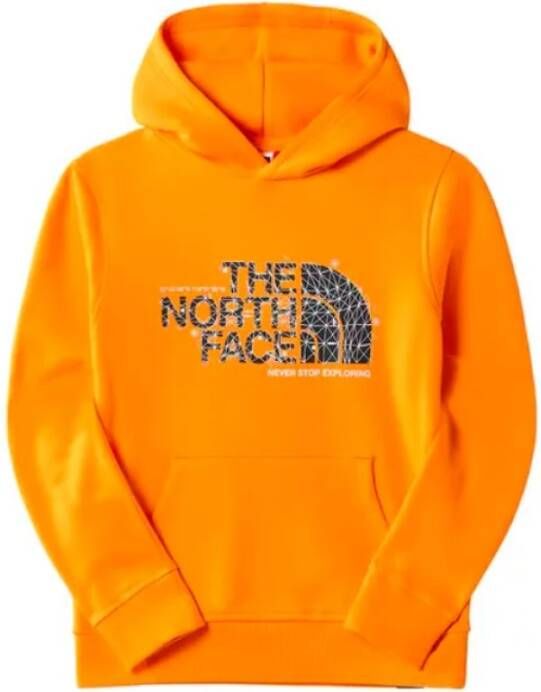 The North Face Logo hoodie Oranje Heren
