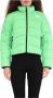 The North Face Chlorophyll Green High Neck Donsjack Green Dames - Thumbnail 1