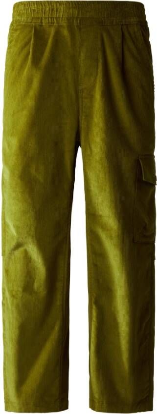 The North Face Straight Trousers Groen Heren