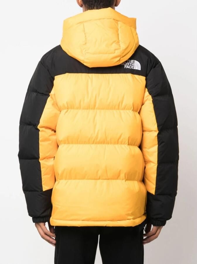 The North Face Stijlvolle en warme heren donsjas in Summit Gold Black Yellow Heren - Foto 4