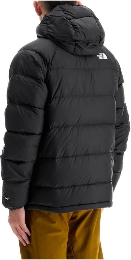 The North Face Gewatteerd jack met opstaande kraag model 'HYDRENALITE' - Foto 3