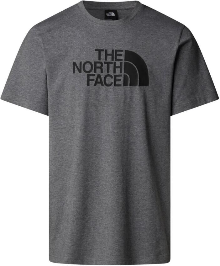 The North Face Grafische Print Klassieke Pasvorm T-shirt Gray Heren