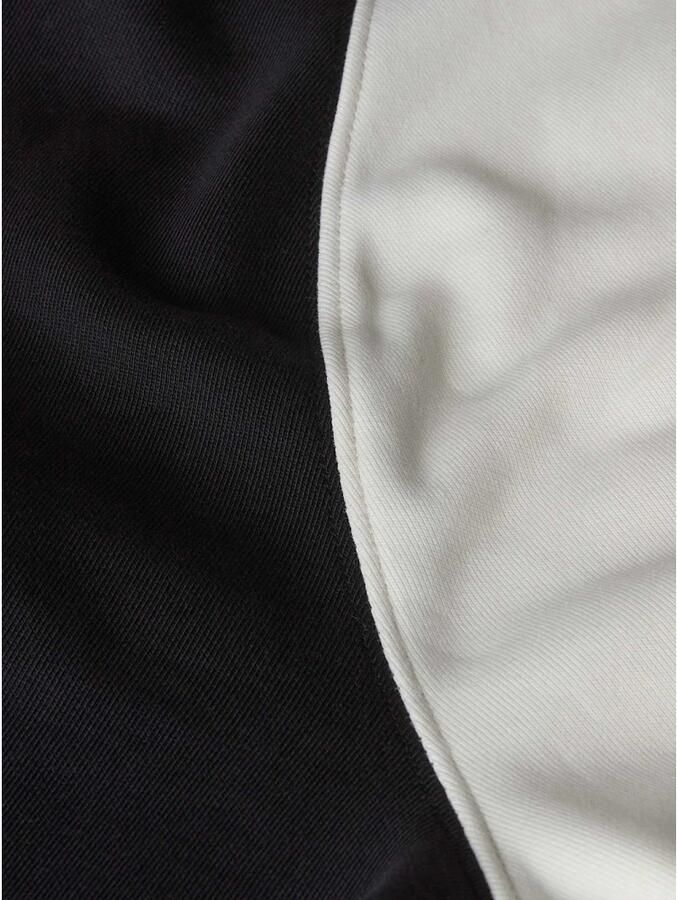 The North Face Hoodie met labelpatch model 'HERITAGE'