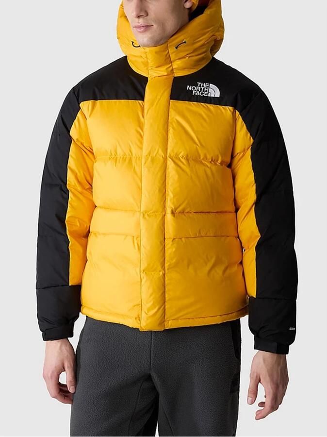 The North Face Stijlvolle en warme heren donsjas in Summit Gold Black Yellow Heren - Foto 3