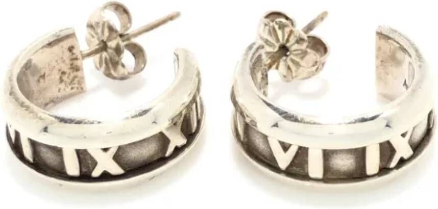 Tiffany & Co. Pre-owned Silver earrings Grijs Dames