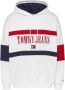Tommy Jeans Multi Sweater Tjm Skater Archive Block Hoodie - Thumbnail 7