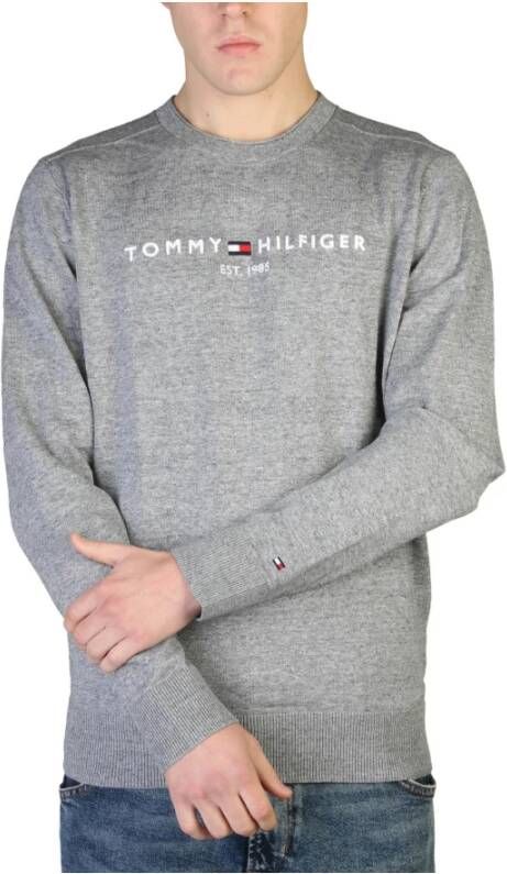 Tommy Hilfiger Voldoende zijden sjaals Grijs Heren
