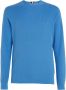 Tommy Hilfiger Pullover Lichtblauw Mw0Mw31576 C4G Blauw Heren - Thumbnail 1