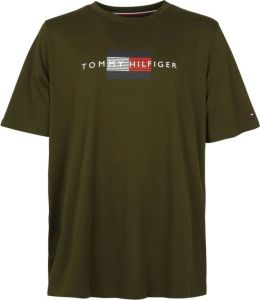 Tommy Hilfiger t-shirt Groen Heren