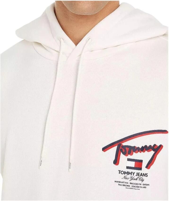 Tommy Hilfiger Beige 3D Street Hoodie Beige Heren