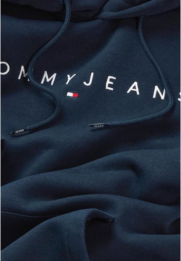 TOMMY JEANS Heren Truien & Vesten Tjm Reg Linear Logo Hoodie Ext Donkerblauw