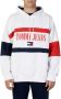 Tommy Jeans Multi Sweater Tjm Skater Archive Block Hoodie - Thumbnail 2