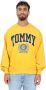 Tommy Jeans Heren Box College Sweatshirt Yellow Heren - Thumbnail 1